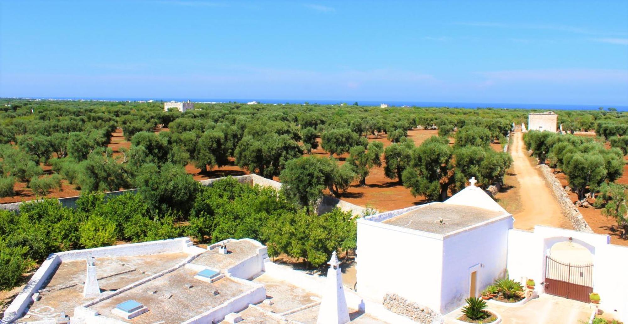 Masseria Mammella Monopoli Exterior foto