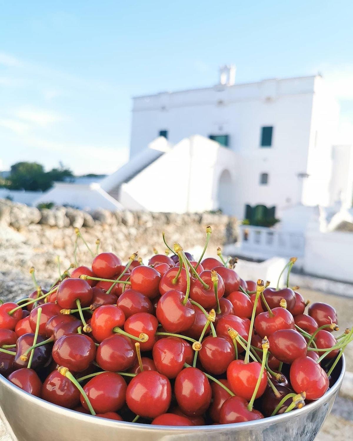 Masseria Mammella Monopoli Exterior foto